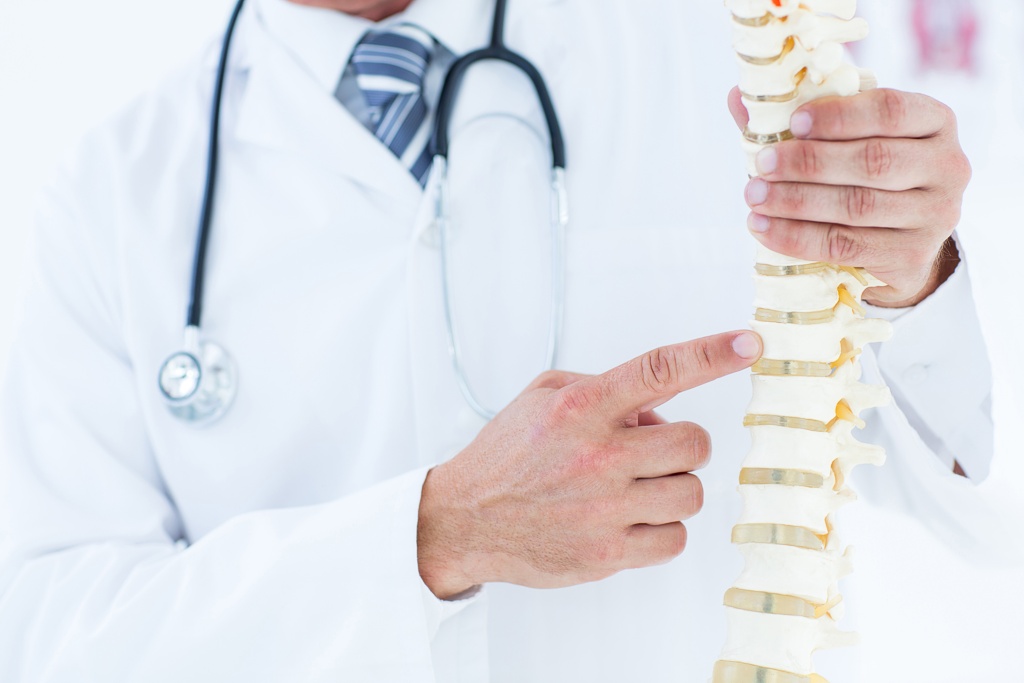 Was ist Rheuma? Ein Arzt zeigt anatomisches Modell der Wirbelsäule